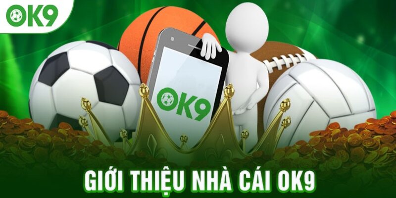 Ưu điểm nổi bật của dịch vụ của Ok9 